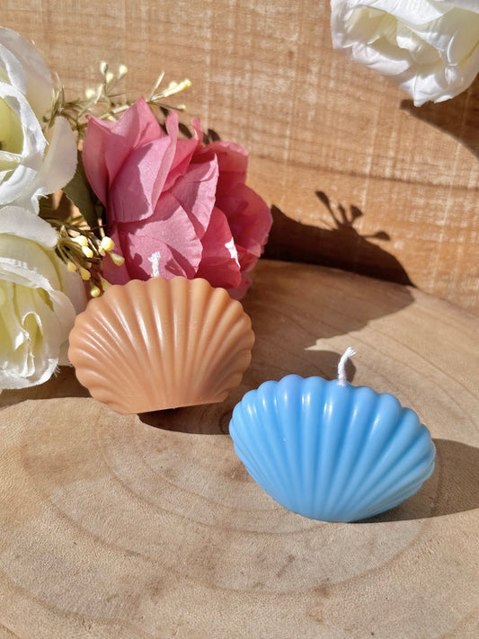 Bougie Coquillage